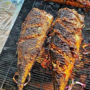 Kote Fish Tail
